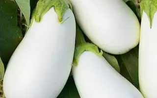 Біла лілія