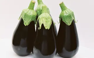 Black Pearl / Блек Перл