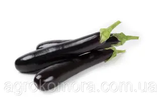 Brigitte / Бріджит