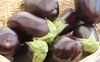 Гагат