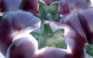 Helios / Геліос