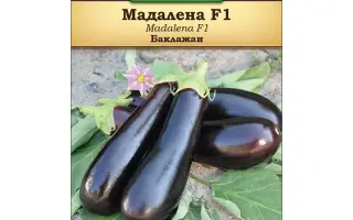 Madalena / Мадалена