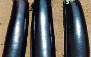 MIRABELLE / МІРАБЕЛЬ