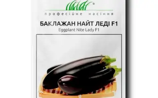 Nite Lady F1 / Найт Леді F1