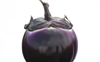 Sabelle / Сабелле