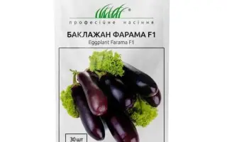 Farama F1 / Фарама F1