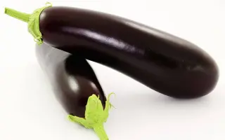 Chester / Честер