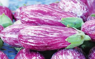 Ліловий ранок