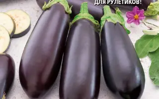 Ультраранній F1