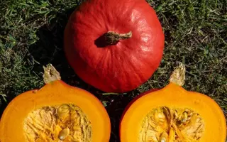 Kenji Kuri / Кенжі Курі