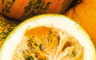 Gleisdorfer Olkurbis / Гляйсдорфер Олкюрбіс