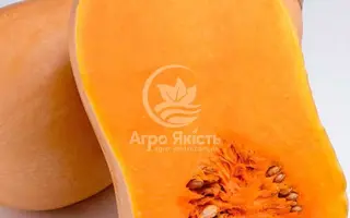 Jacqueline / Жаклін