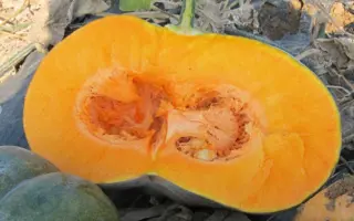 Manosk / Маноск