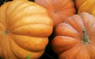 Мускат Де Люкс