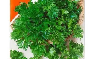 Aromatna / Ароматна