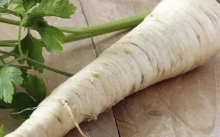 Berlinija / Берлінія