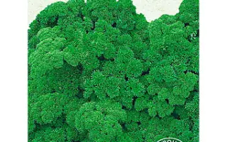 Кучерявая Триплекс