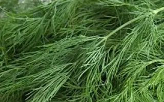 Green Sleeves / Грін Слівс