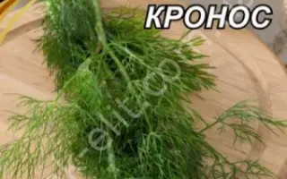 Kronos / Кронос