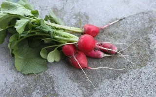 Informer / Інформер