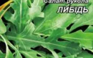 Лыбидь / Либідь