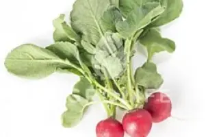 Belsay / Белсей