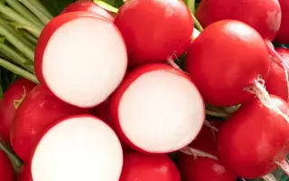 Bodiam / Бодіам