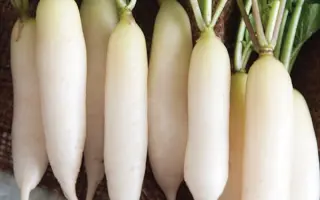 White Breakfast / Вайт Брекфаст