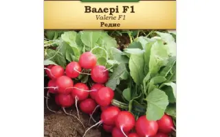 Valerie / Валері