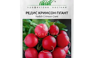 Crimson / Крімсон