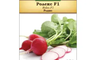 Rolex F1 / Ролекс F1