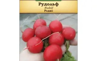 Rudolf / Рудольф