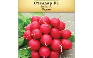 STELLAR / СТЕЛЛАР