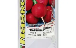 Карбона