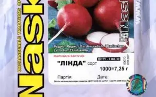 Лінда