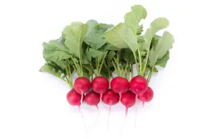 Mondial RZ F1 / Мондіал РЗ F1