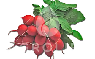 Helro / Хельро