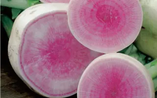 Red Meat / Ред Міт