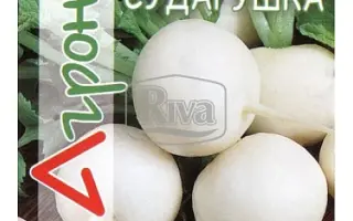 Сударушка