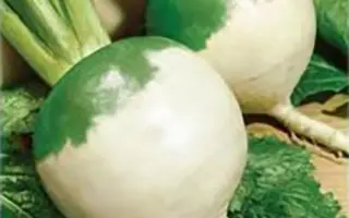 Тефі