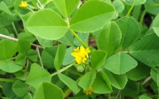 Херсонська 9