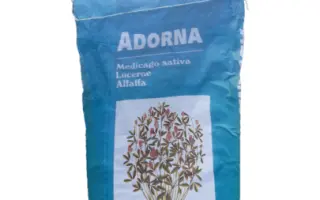 Adorna / Адорна