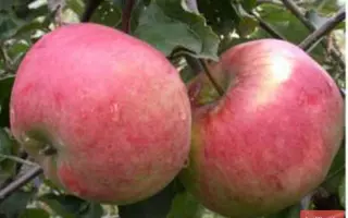 Аскольда (Прелюдия) / Аскольда