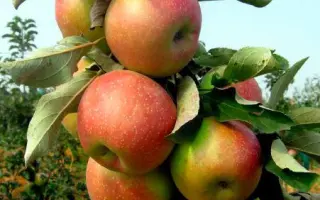 Городищенське