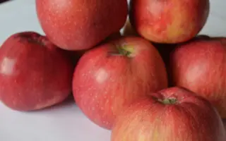 Млиевчанка осенняя / Мліївчанка осіння