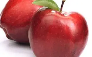 Nicored / Нікоред