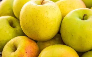 Rea Gold / Реа Голд