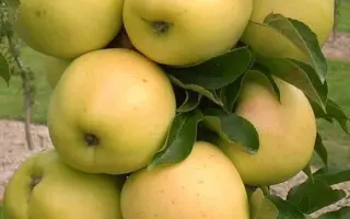 Сапфір