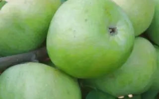 Симиренківець