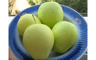 Минкар / Мінкар